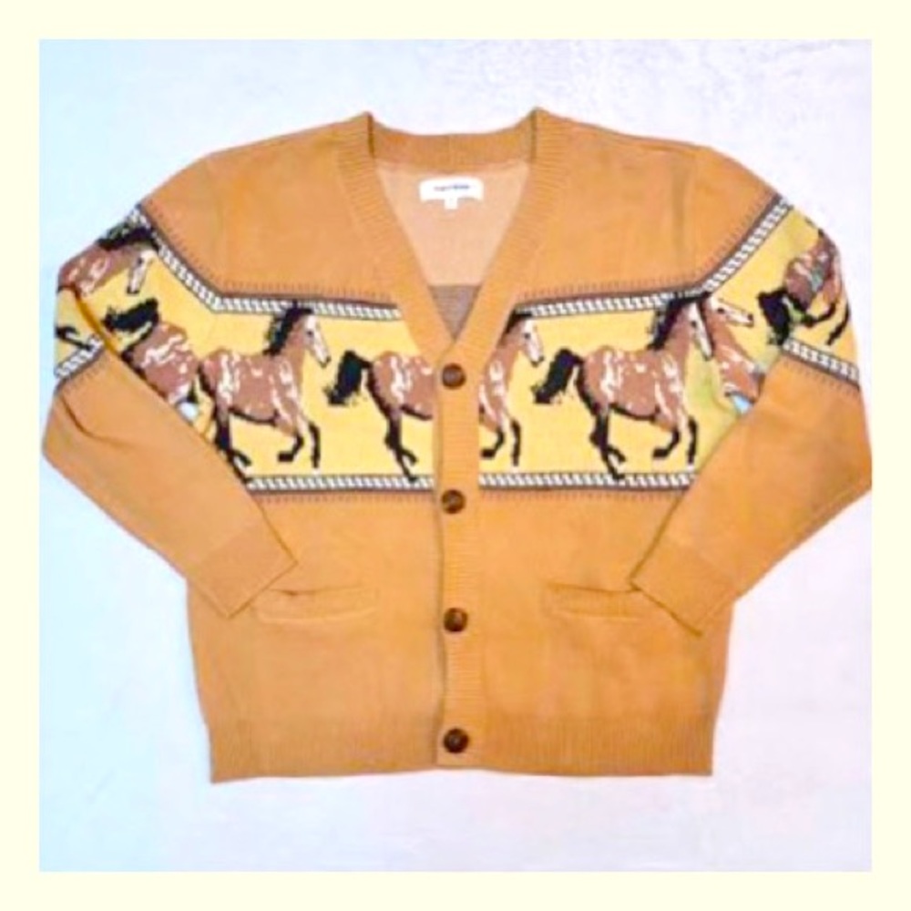 PacSun Wild Horses Cardigan Small
